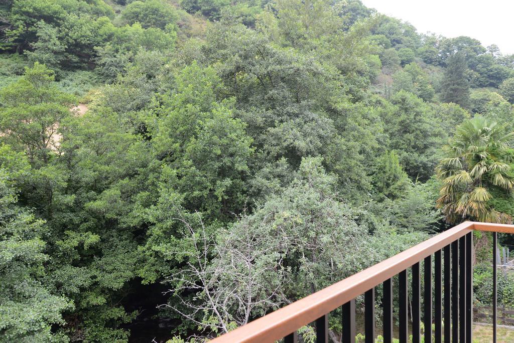 Apartamentos El Rincon De Limes Cangas De Narcea Pokoj fotografie