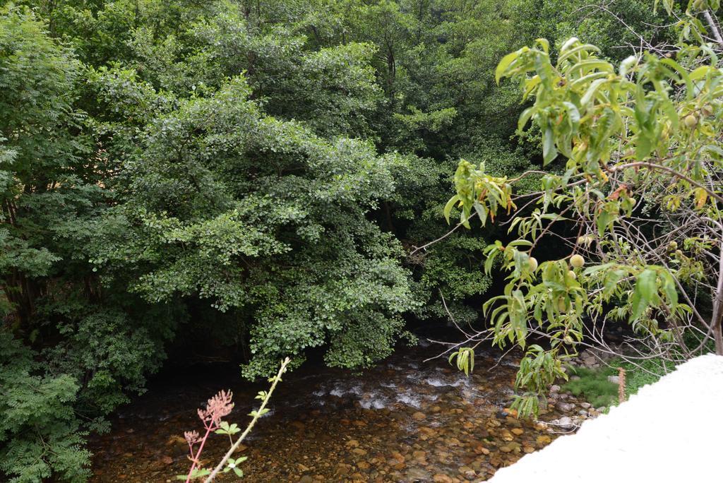 Apartamentos El Rincon De Limes Cangas De Narcea Pokoj fotografie