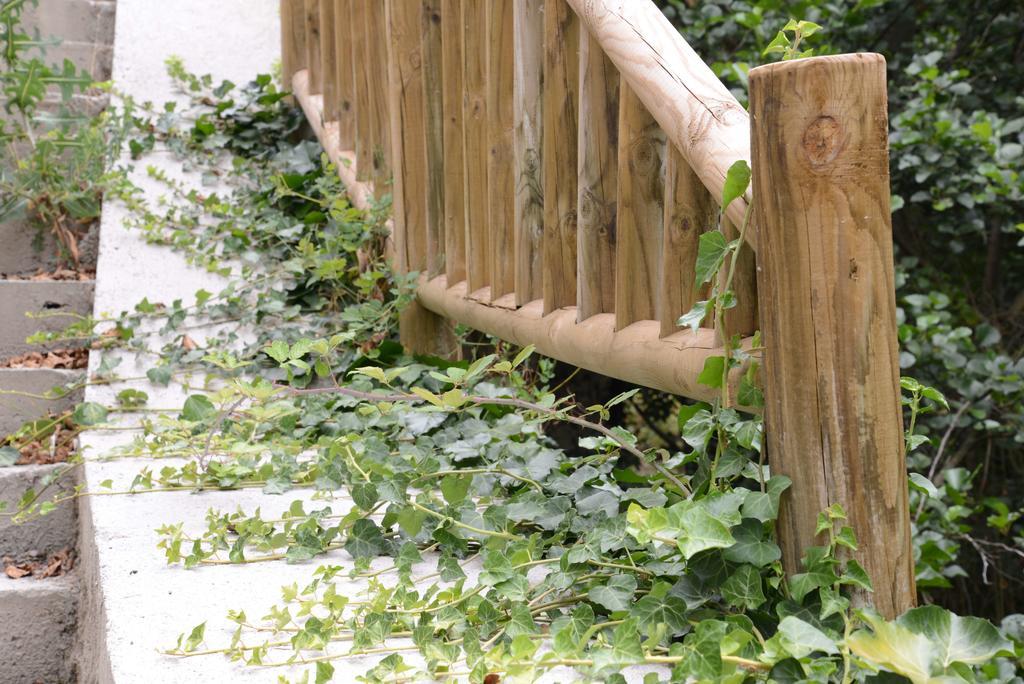 Apartamentos El Rincon De Limes Cangas De Narcea Pokoj fotografie