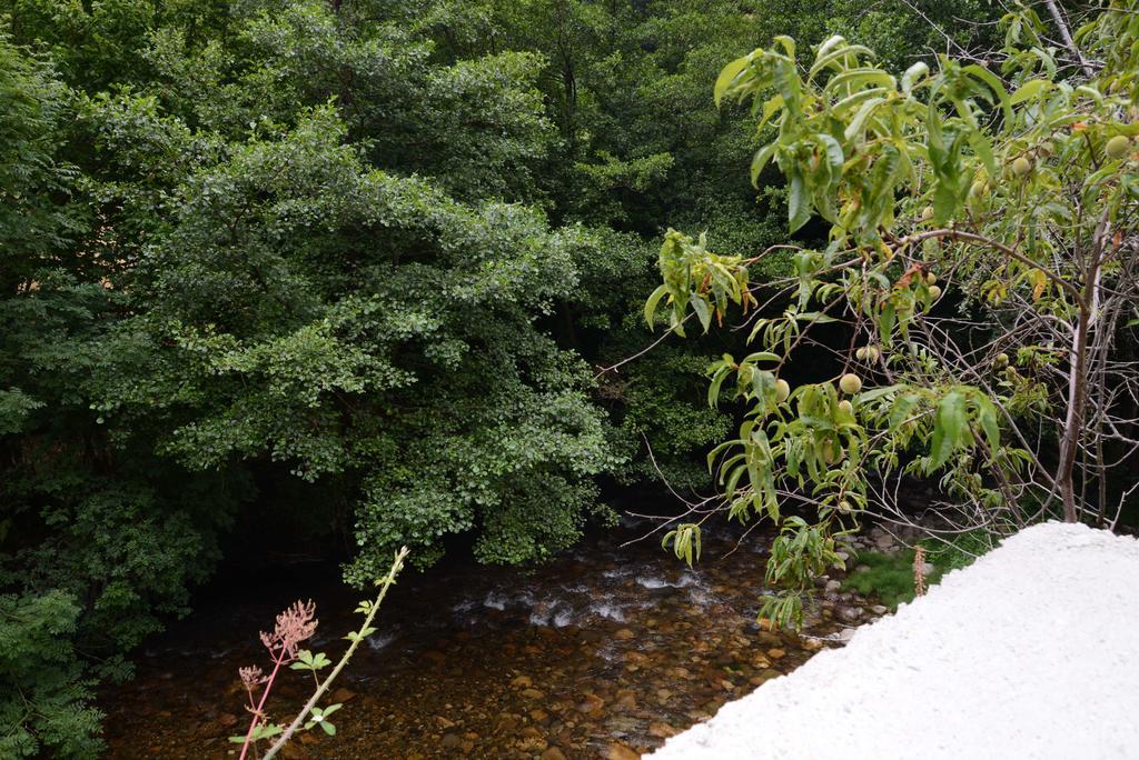 Apartamentos El Rincon De Limes Cangas De Narcea Pokoj fotografie