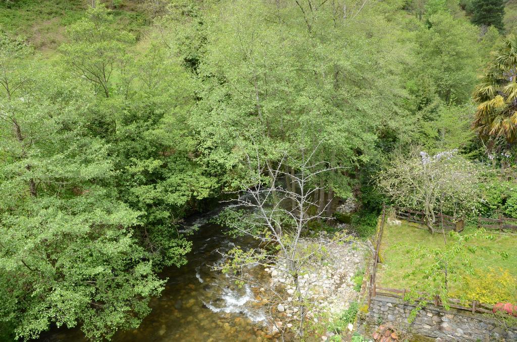 Apartamentos El Rincon De Limes Cangas De Narcea Exteriér fotografie