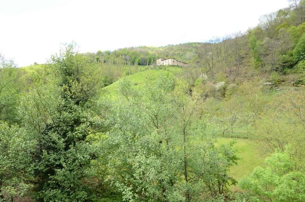 Apartamentos El Rincon De Limes Cangas De Narcea Exteriér fotografie