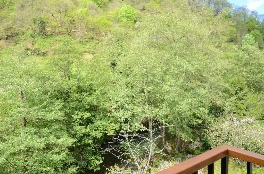 Apartamentos El Rincon De Limes Cangas De Narcea Exteriér fotografie