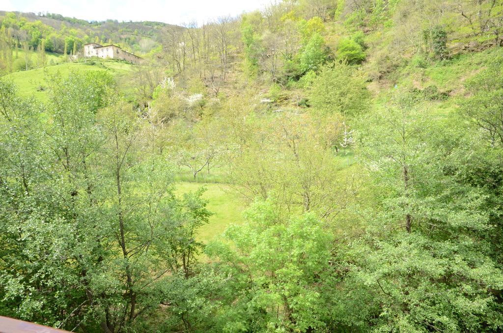 Apartamentos El Rincon De Limes Cangas De Narcea Exteriér fotografie